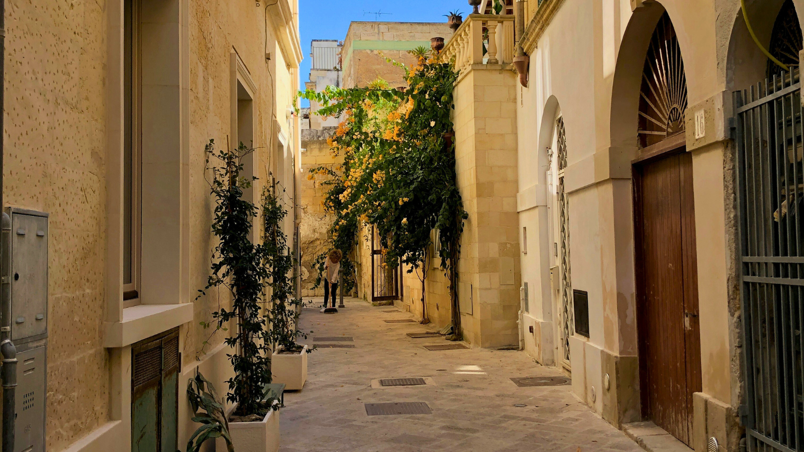 Beratungsgespräch 60 Minuten