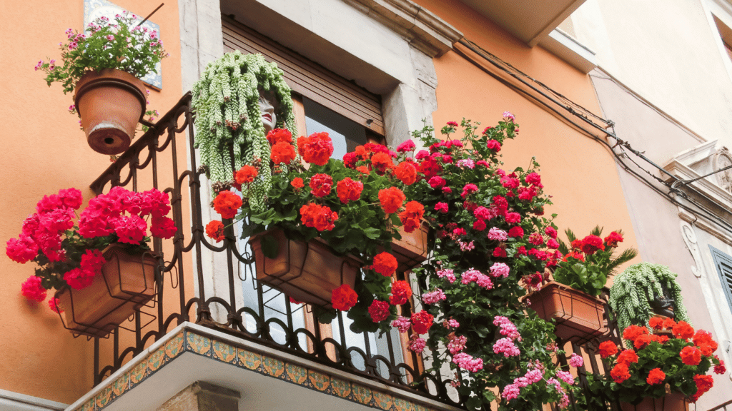 Blumen Italien Haus