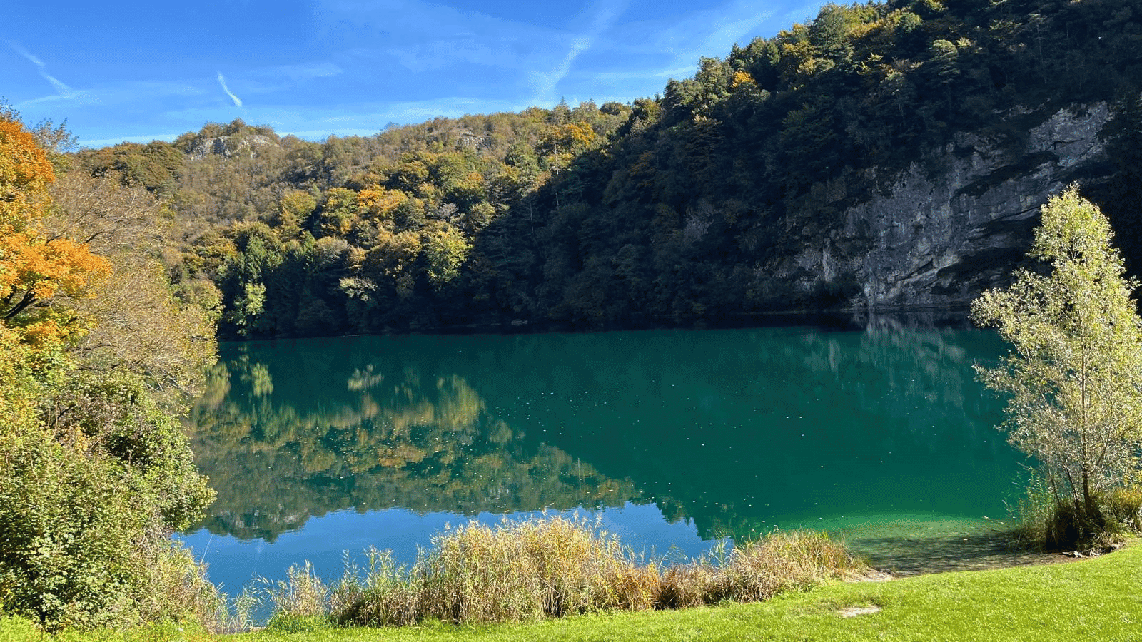 Bergsee, umrahmt von Bäumen und einer Felswand an der rechten Seite, leuchtet in unterschiedlichsten Grüntönen. Die umliegenden bewaldeten Hügel spiegeln sich im Wasser
