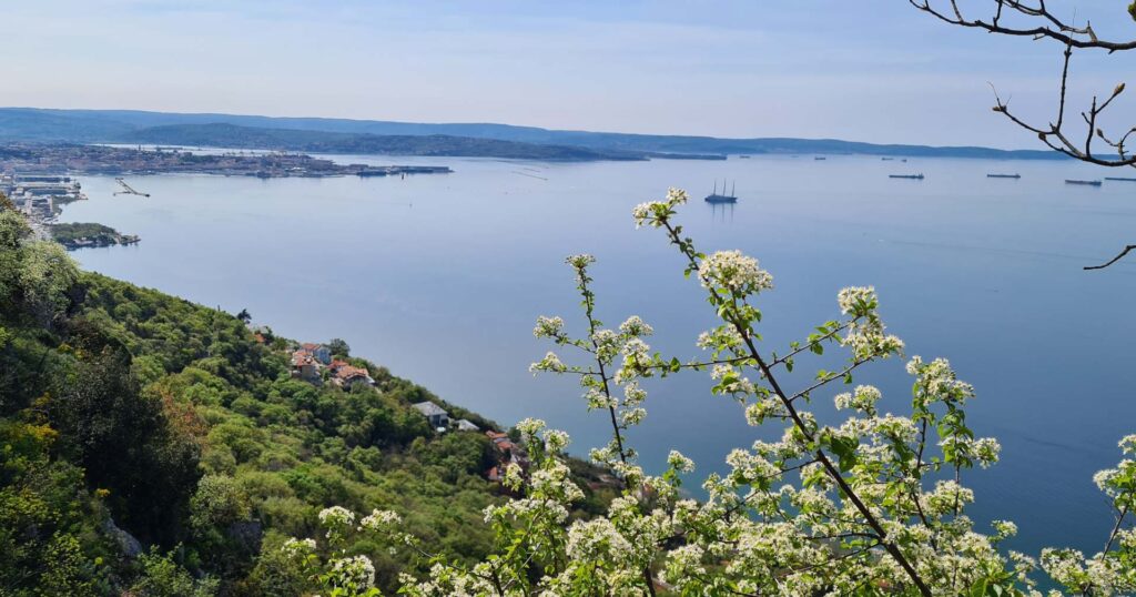 Frühlingsfeste in Italien – Frühlingslandschaft mit blühenden Bäumen