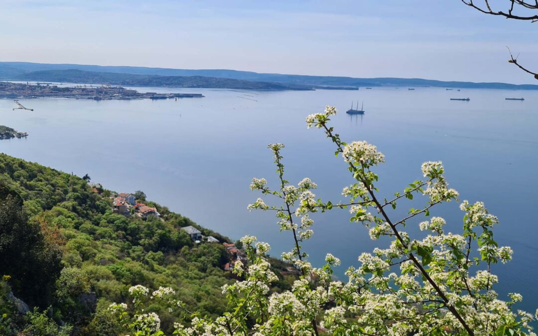 Frühlingsfeste in Italien: 5 Regionen, die dem Frühling ihren Charakter geben