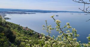 Frühlingsfeste in Italien – Frühlingslandschaft mit blühenden Bäumen