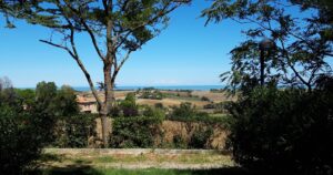 Immobilie in den Marken kaufen_Blick von Montemarciano zwischen Bäumen über Hügel auf die blau glitzernde Adria